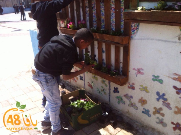 dawry 7ekma3j (11).JPG